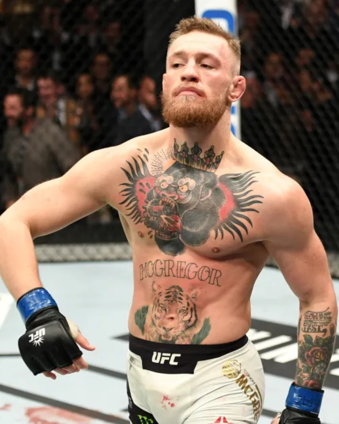 conor mcgregor ufc mma eesti mmaailm.ee conor mcgregor ufc mma eesti mmaailm.ee