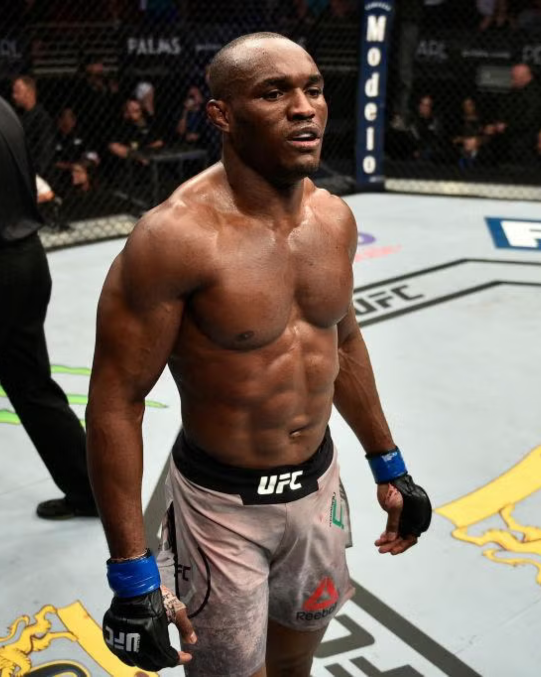 mmaailm.ee kamaru usman ufc mma eesti mmaailm.ee kamaru usman ufc mma eesti